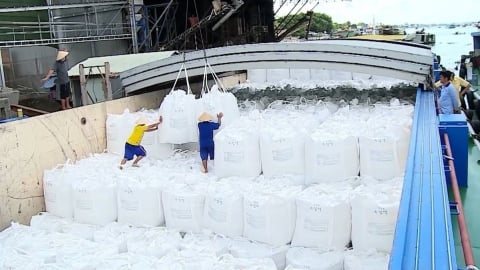 Vietnam's rice exporters hope for better prices